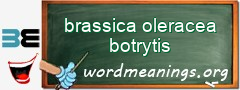 WordMeaning blackboard for brassica oleracea botrytis